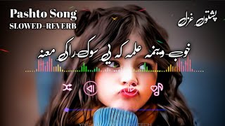 Pashto New Song  Khob Wenam Alama ka ye Sok Raki Mana  Pashto Ghazal  2024 SLOWEDREVERB [upl. by Fariss]