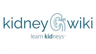 kidneywiki [upl. by Bork]