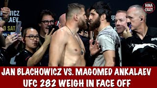 UFC 282 Jan Blachowicz vs Magomed Ankalaev weigh in Face Off [upl. by Ahsiekahs]