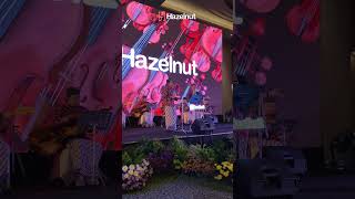 Rek ayo rek 😍 rekayorek coverkeroncong bandsurabaya hazelnutmusic [upl. by Hacim]