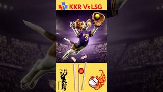 KKR Vs LSG  Adorable Beagles IPL Shorts viral [upl. by Dode]