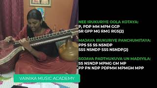 Water Packet Song Veena Tutorials  Rayaan  AR Rahman  Swram For Water Packet Song [upl. by Ramedlav]