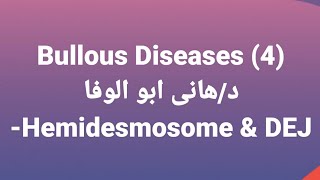 Dr Hany 🔹 Bullous Diseases 4 👉 Hemidesmosome amp Dermoepidermal junction [upl. by Huei]