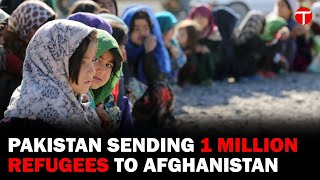 Pakistans Comprehensive Efforts Towards Afghan Repatriation [upl. by Jasun]