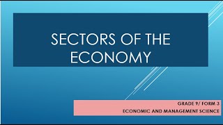 Grade 9 Sectors of the Economy [upl. by Groh]