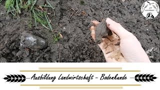 Ausbildung Landwirtschaft  Bodenkunde [upl. by Ailongam]