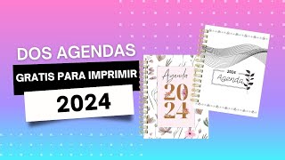 DIY agenda 2024 para imprimir gratis les dejo 2 agendas [upl. by Nyleuqaj108]