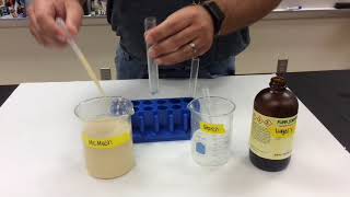 Test for starch  Food chemistry  Chemistry [upl. by Soigroeg195]