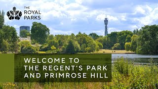 Discover The Regent’s Park amp Primrose Hill one of London’s Royal Parks [upl. by Leakcim]