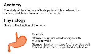 Chapter 1A Introduction and the Principle of Complementarity [upl. by Aleit]