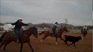 Team Roping in Maricopa Arizona  Maricopa AZ Horse Properties [upl. by Jaala796]