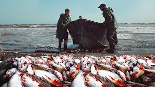 One Day of Fishermen in CASPIAN SEA  Extremal Fish Catching Scenes  DOCUMENTARY [upl. by Llennahs]