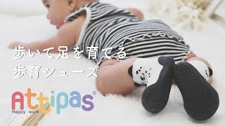 【アティパス】歩いて足を育てる歩育シューズAttipas [upl. by Getter]