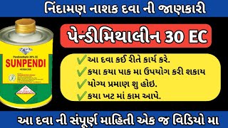 પેન્ડીમેથાલિન 30 EC દવા ની કાર્ય પદ્ધતી  pendimethalin 30 ec Herbicide [upl. by Ahseinod]