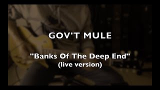 Govt Mule  Banks Of The Deep End cover warrenhaynes govtmule kemper kemperprofiler [upl. by Asiat]