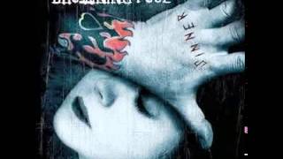 Drowning Pool  Sinner Full Album Ps RIP Dave \m [upl. by Htebilil]