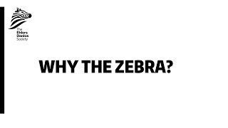 Why the zebra [upl. by Angadresma]