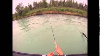 Alaska Kenai River Fishing August 2014 [upl. by Bailar]