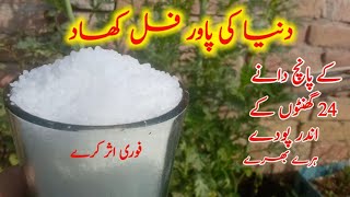 how to use urea fertilizer best method to use urea fertilizer uriya khad istemal Karne Ka Tarika [upl. by Assetnoc450]