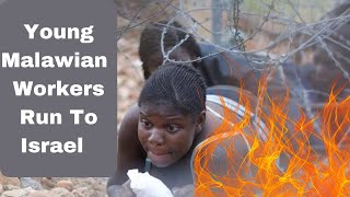 Young Malawians Are Rashing To Israel To Help  Labour Export Policy [upl. by Llener467]