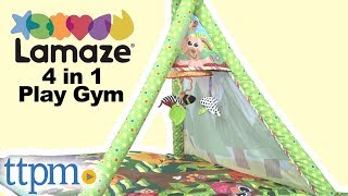 Lamaze 4 in 1 Play Gym from TOMY [upl. by Dom756]