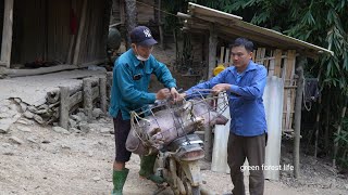 Selling wild boar How to take care of more than 30 wild boars Green forest life [upl. by Nairod]