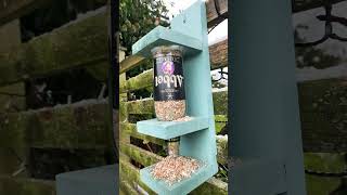 Bird feeder optic Make sure they are filled up [upl. by Uel310]