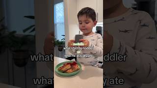 Last 10 min got cut off but go to my TikTok ✨whatmytoddlereats toddlermeals [upl. by Gona]