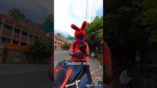 😡Extreme Road Rage  Tau Caught on Camera  He needs Peace 😂 bunny z900 roadrage bike dog [upl. by Ettenom]