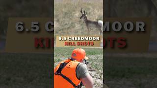 65 CREEDMOOR KILL SHOTS [upl. by Yand]