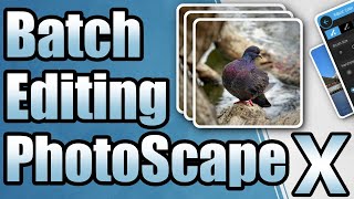 Batch Photo Editing  PhotoScape X Tutorial [upl. by Gui]