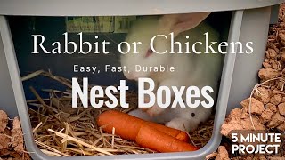 BEST EASY NEST BOX for Chickens and Rabbits 5 Minute Project [upl. by Cutlip928]