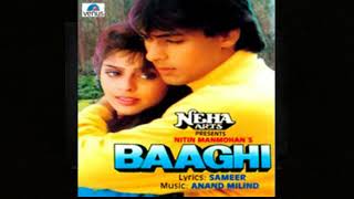 Kaisa Lagta Hai Amit Kumar Anuradha Paudwal Baaghi 1990 D Echo [upl. by Service]