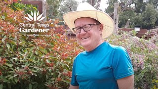 How Gardeners Grow Now Kirk Alston [upl. by Dorahs]