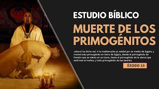 Estudio Bíblico  La muerte de los primogénitos  REFLEXIÓN [upl. by Ihtak642]