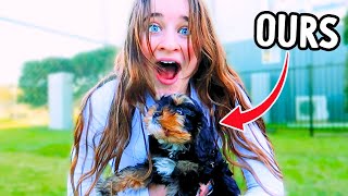 SURPRISING HER WITH THE BEST PUPPY BREED FOR KIDS emotional wNorris Nuts [upl. by Vitia]