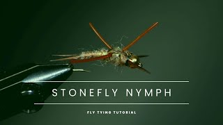 Stonefly Nymph Pattern  Fly Tying Tutorial [upl. by Ergener853]