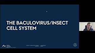 The Baculovirus Insect Cell System [upl. by Peednama]