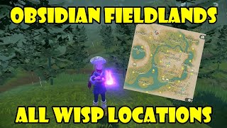 All Wisp locations in Obsidian Fieldlands Map with markings Pokemon Legends Arceus [upl. by Eric444]