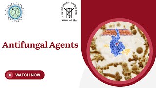 Antifungal Agents [upl. by Anayi]