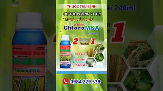 Thuốc trừ nấm bệnh Chloro MKA giá rẻ hiệu quả cao [upl. by Narhem935]