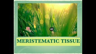 MERISTEMATIC TISSUE CBSE CLASS IX AND FOR NEET [upl. by Einneb]