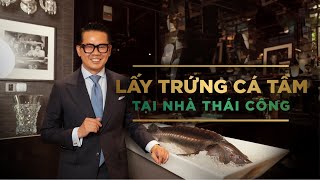 Một bữa ăn 120 Triệu Vì sao trứng Cá Tầm CAVIAR lại đắt như vậy [upl. by Kezer]