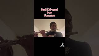 Gaali Chirugaali from Vasantam  Flute [upl. by Clari]