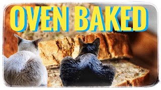 Perfect Kitten Loaves [upl. by Ykcin]