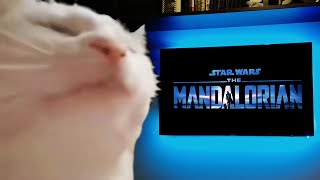 Watching The Mandalorian Credits Be Like [upl. by Eniar783]