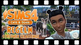 STREUNER CHALLENGE 20 🐱 Die Regeln 🐱 Lets Play DIE SIMS 4 HUNDE amp KATZEN [upl. by Tterrej]