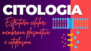 Citologia  Estrutura celular membrana plasmática e citoplasma [upl. by Hcirdeirf993]