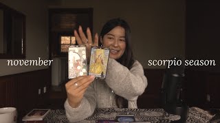 asmr tarot 🌀 collective reading for november amp scorpio season timeless energy prediction [upl. by Liw]