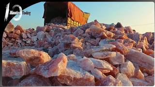 How Modern Salt is Harvested  Salt Harvesting Process  10 Minutes Today [upl. by Merwin]